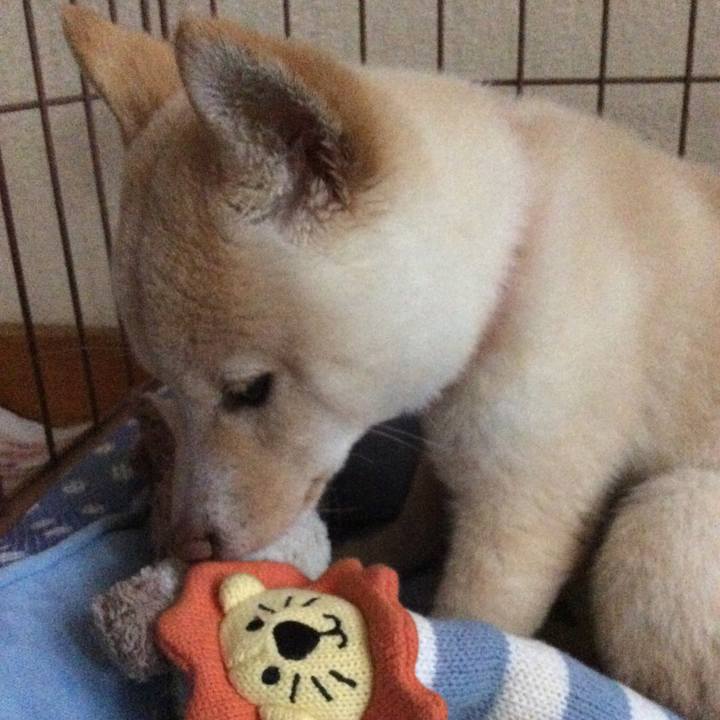 77fedffa a167 4a84 92f5 0a95299983d3