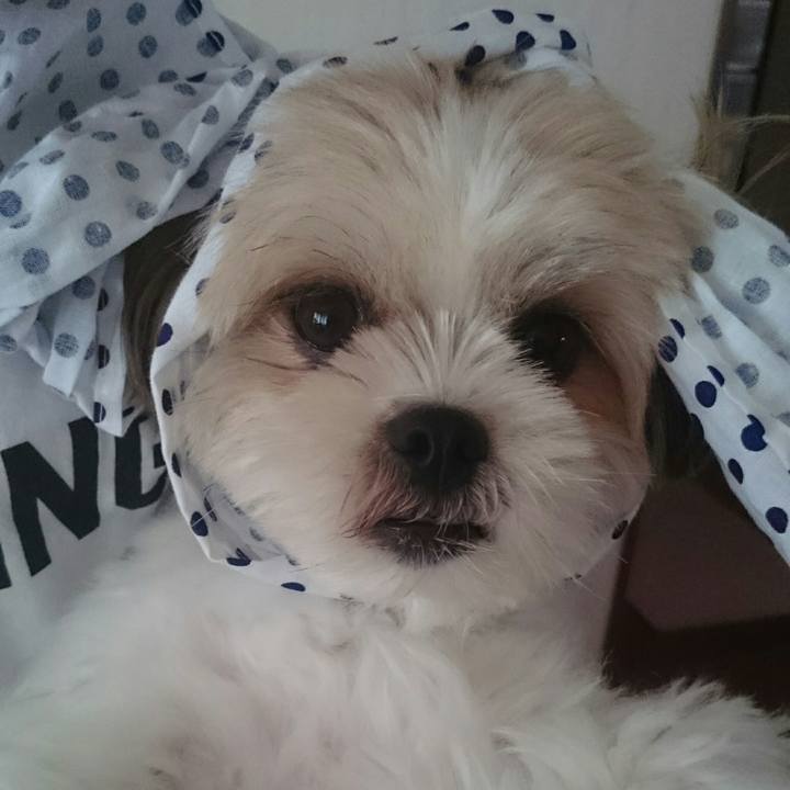 77ff005e ac55 409c a335 d1cbe9b334de