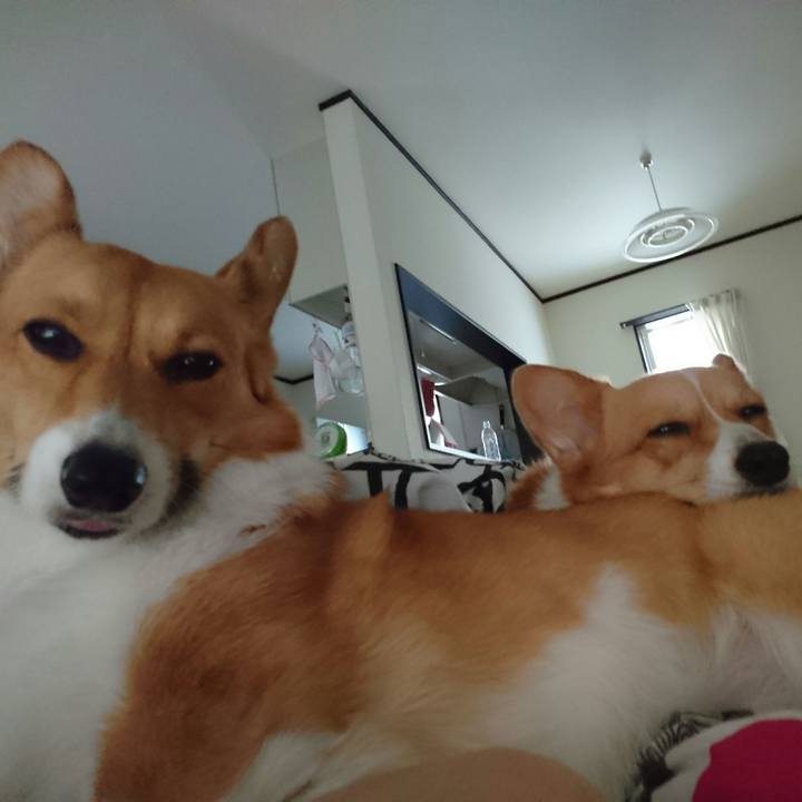 7800456f d496 4215 a981 4c3b69ecf425