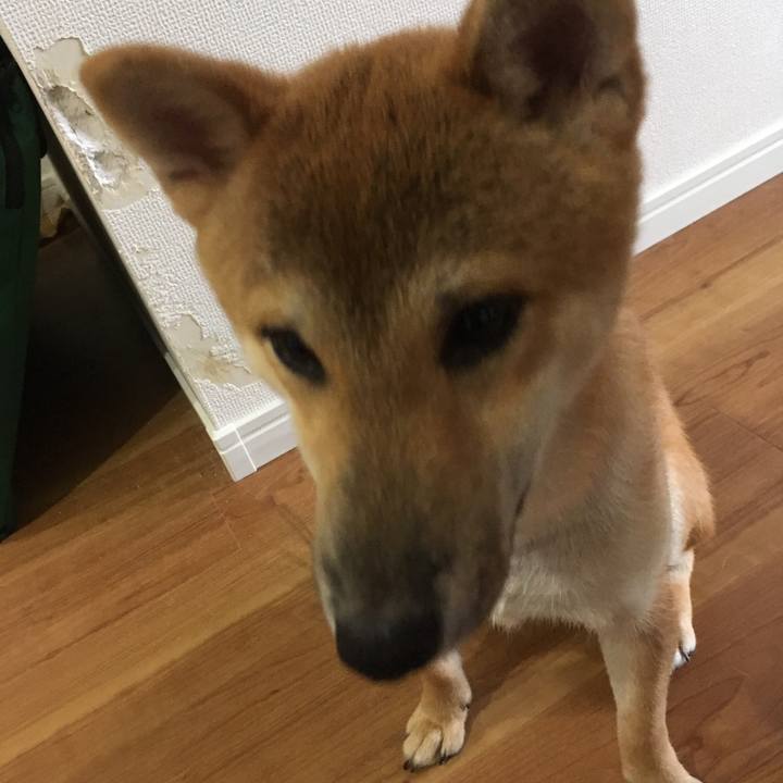 780052dd b562 4063 b981 7397662d2811