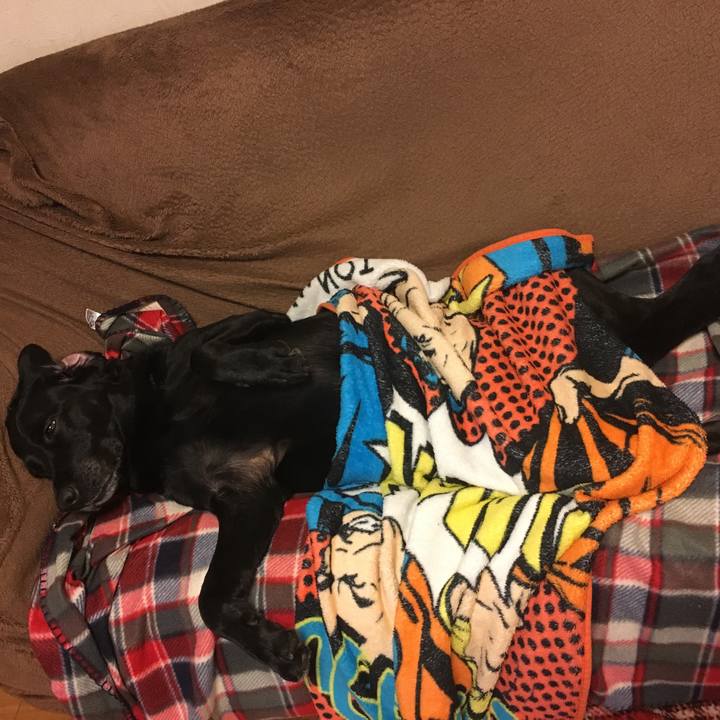 78007414 62ed 431f 832f aa776b994528