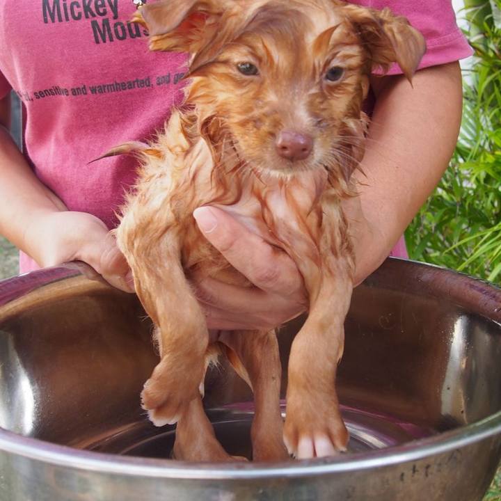 7800ef4b bd13 43bb 8e2b 3876ee816ab8