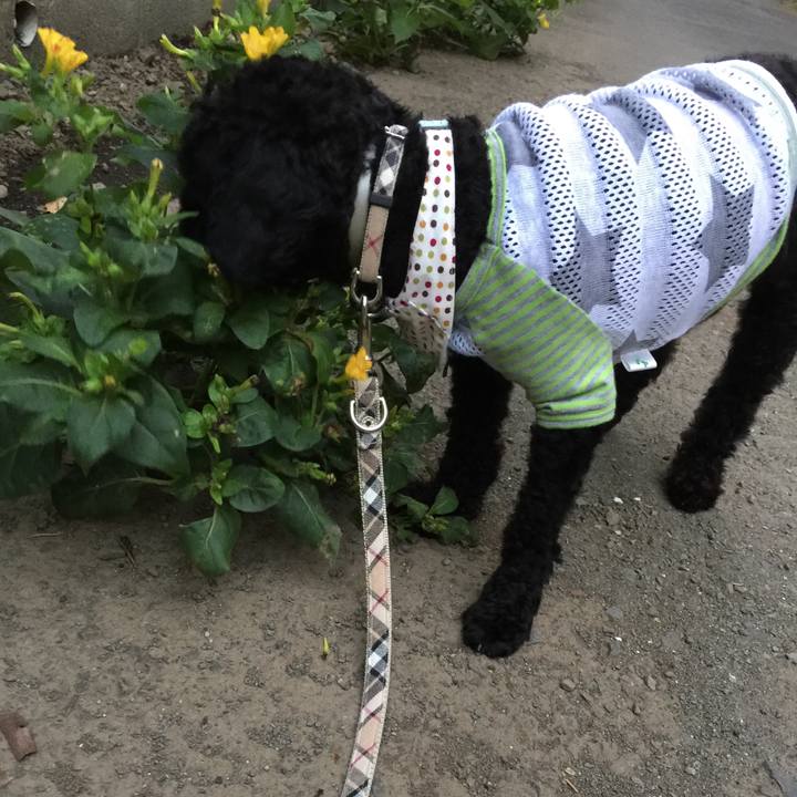 780107d7 1cc4 489e bfad 37d6b90aa85c