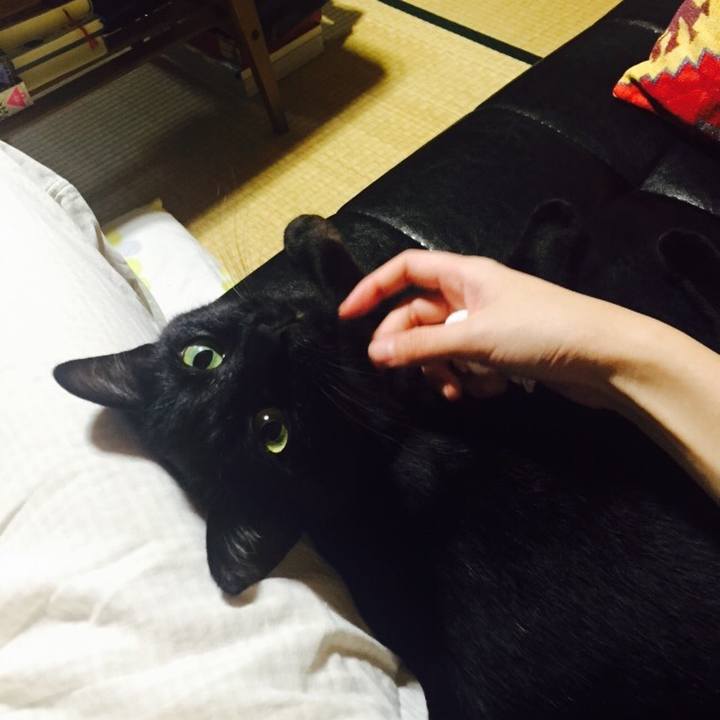 780120be da39 448c 9191 2c63b7d62d19