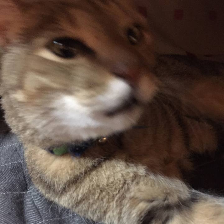 7801a1d8 4b2d 4d3f 8f5f cbb7915dbb16