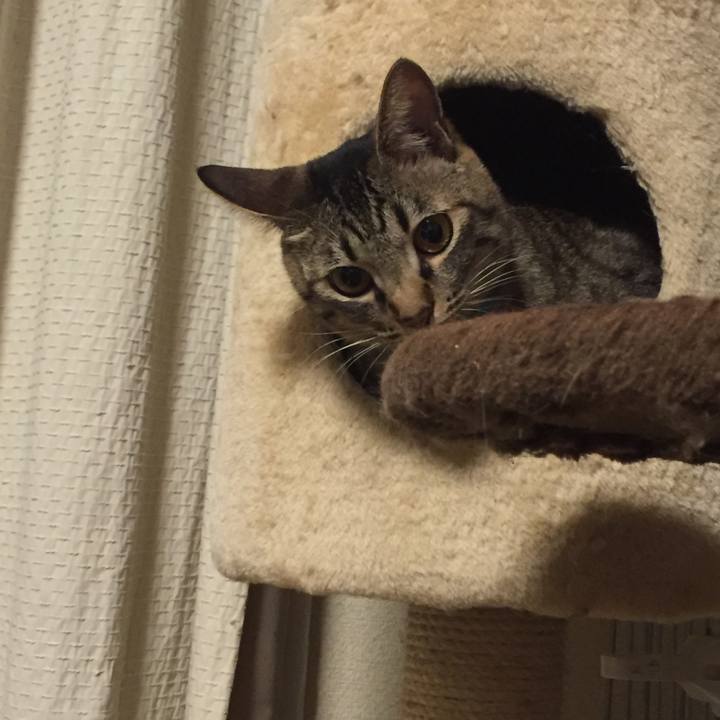 7801ce59 a6f7 4d56 a885 710137451314