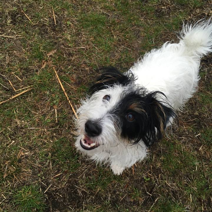 7801e49a 7892 42be 850d 0ab5e60a0ce5