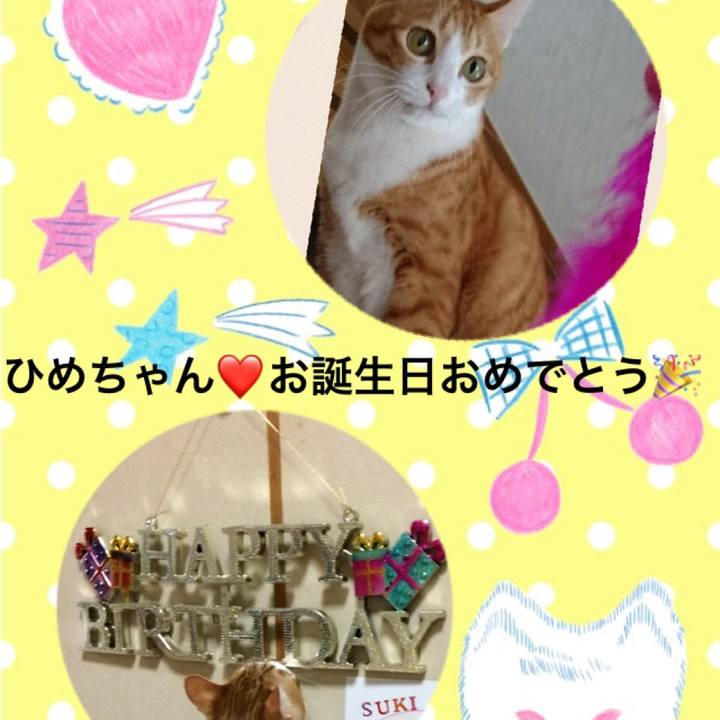 78023e95 88b7 49ad 94cc f745c8a9dd54