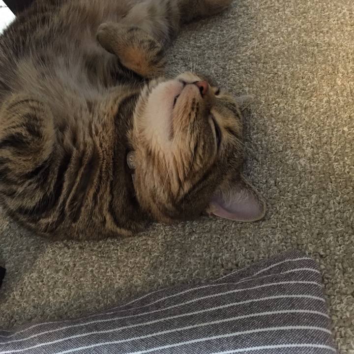 78027417 28a0 42e8 9bad 0d4343cde2e2