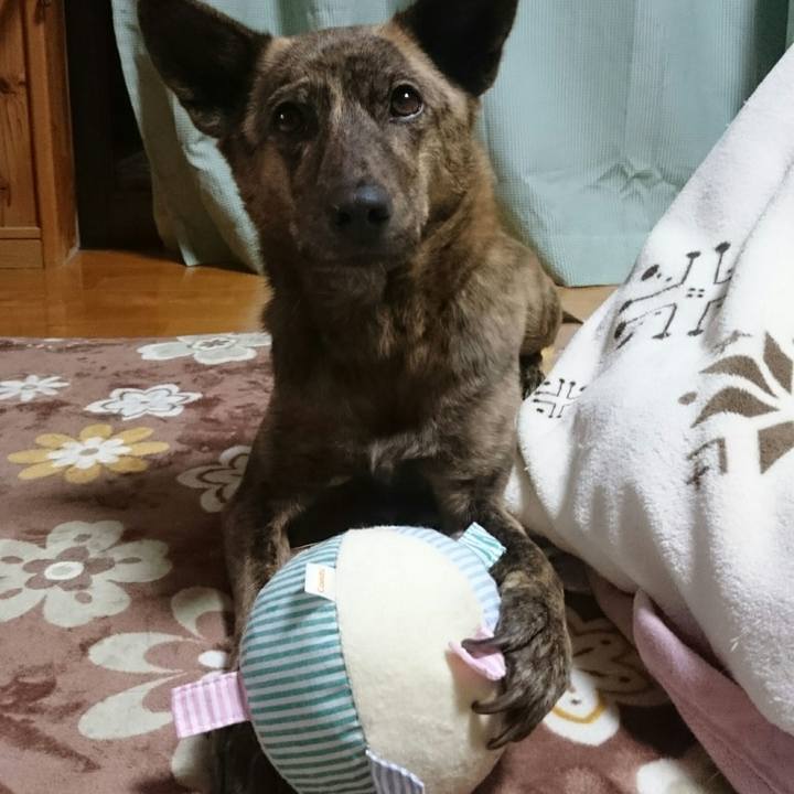 78030d9c 1ca0 472d 8b9d db2d38bbd125