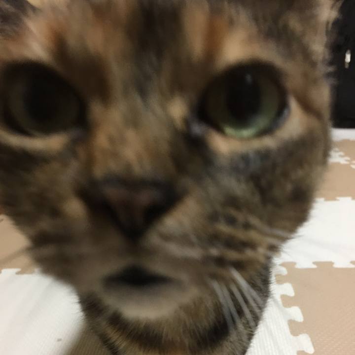 7803960c 7899 4eeb aef6 a4ac78a41104