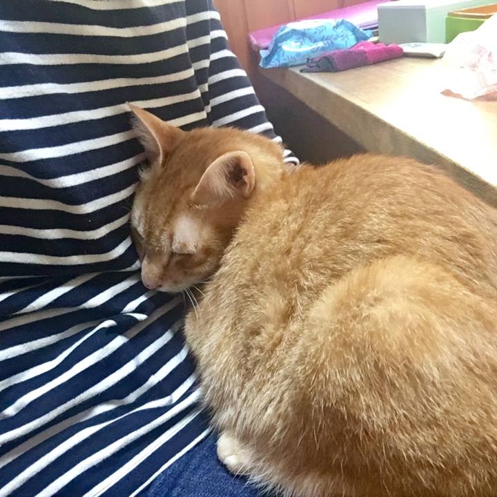 7803abf9 e7e6 44ae 9831 21bf137985ad