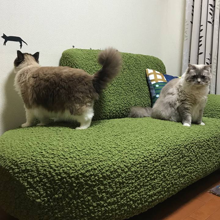 7803e1da bcb0 46ee b0bf 7536d2993c30