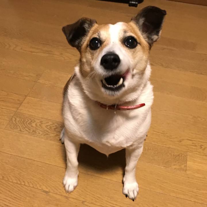 7803eadd b894 472f b449 c49ef273cd02