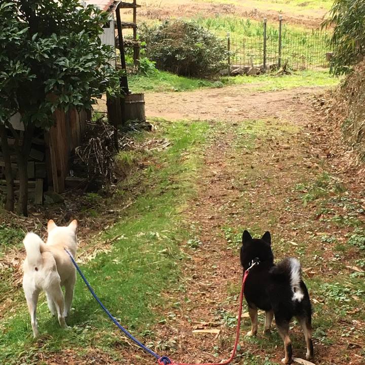 780543c8 5f32 4fc8 a880 23252fac03bd