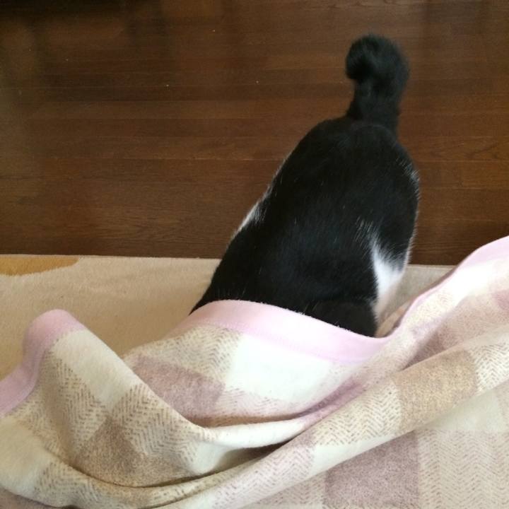 7805685b be19 4816 829c b8c8a3114b44