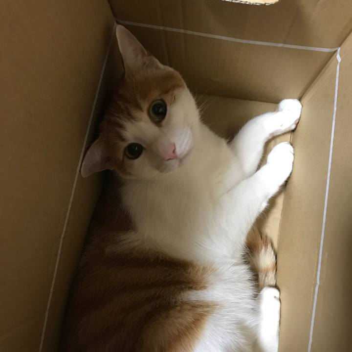 78057f9b 312c 4fa4 8f75 39505c83fed9