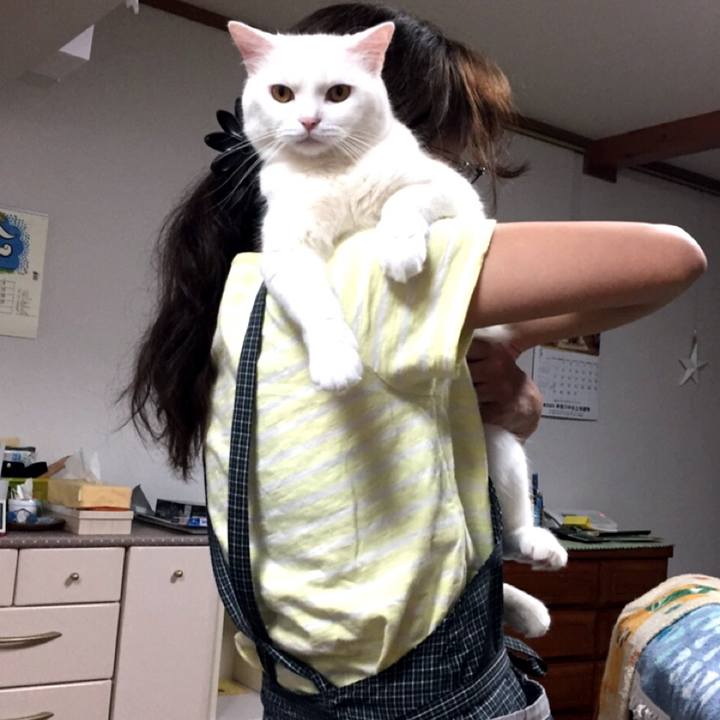 780588a9 f041 43d7 82fa 22a30c4ae8f3