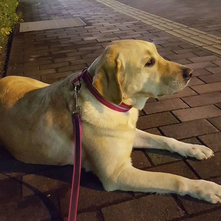 78061525 4f13 492f b168 6efcba2887b5