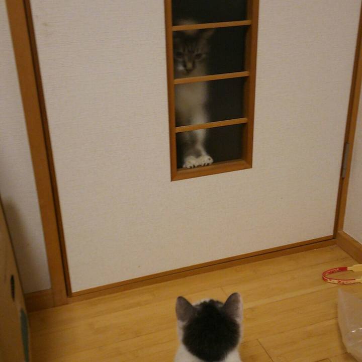 780674b1 1946 4e12 be5b 799d1597eed3