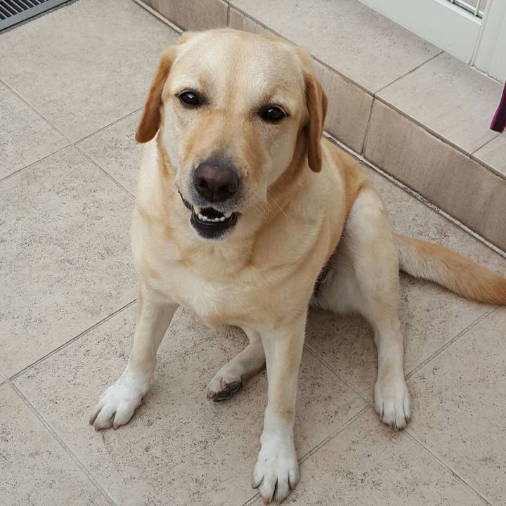 780752df 00d4 4e45 8846 af2fd8d64cb0