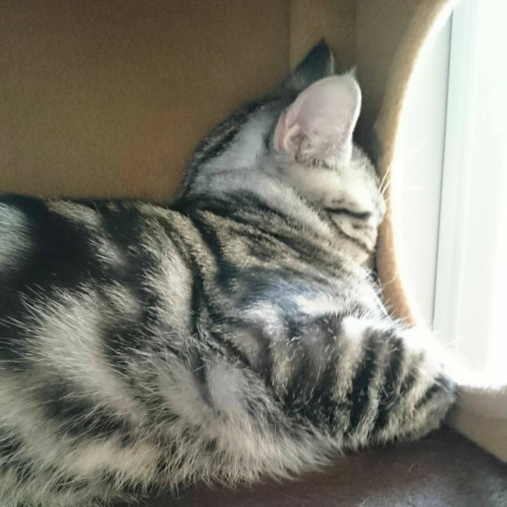 7807868a dc34 42aa 8d70 58ea069174f1