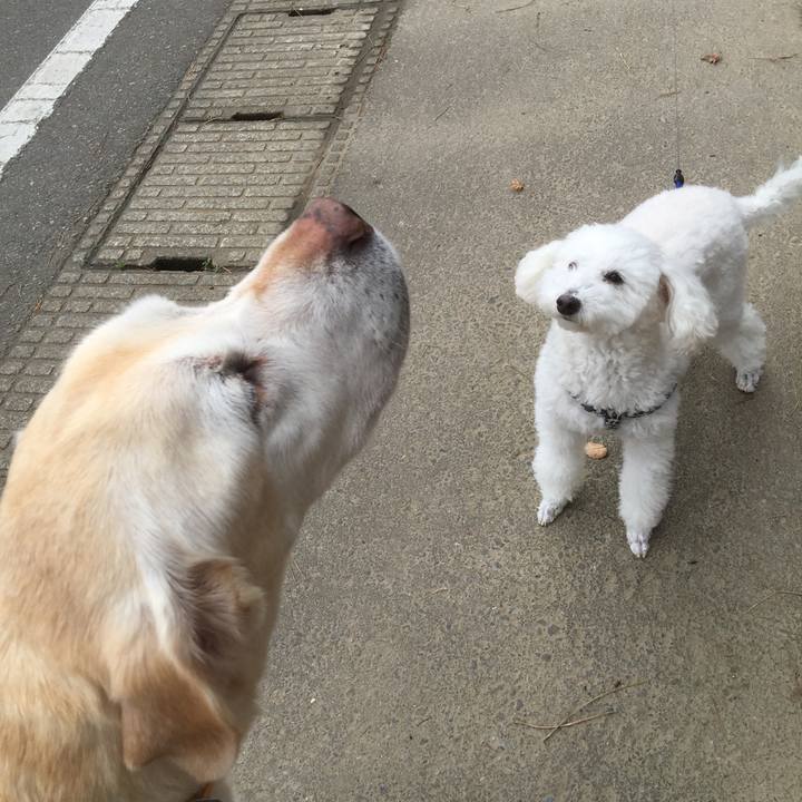 780787c6 7ef7 4b0a b5b2 0dfadea6a0b6