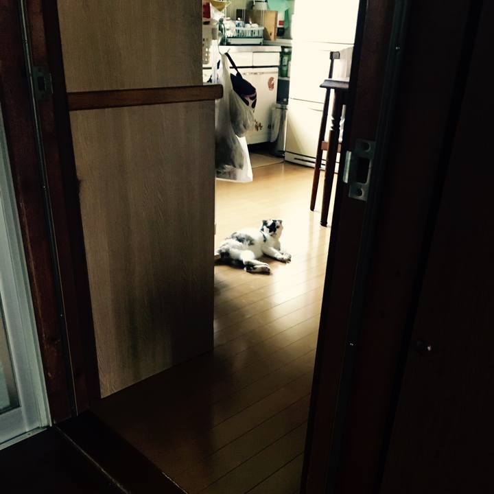 7807aa15 e841 42bf bd5a 2ce20b76d363