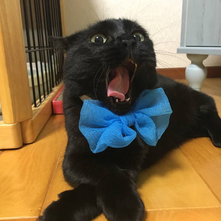 78080587 90e7 4d8e a5be ef331a11bfcb