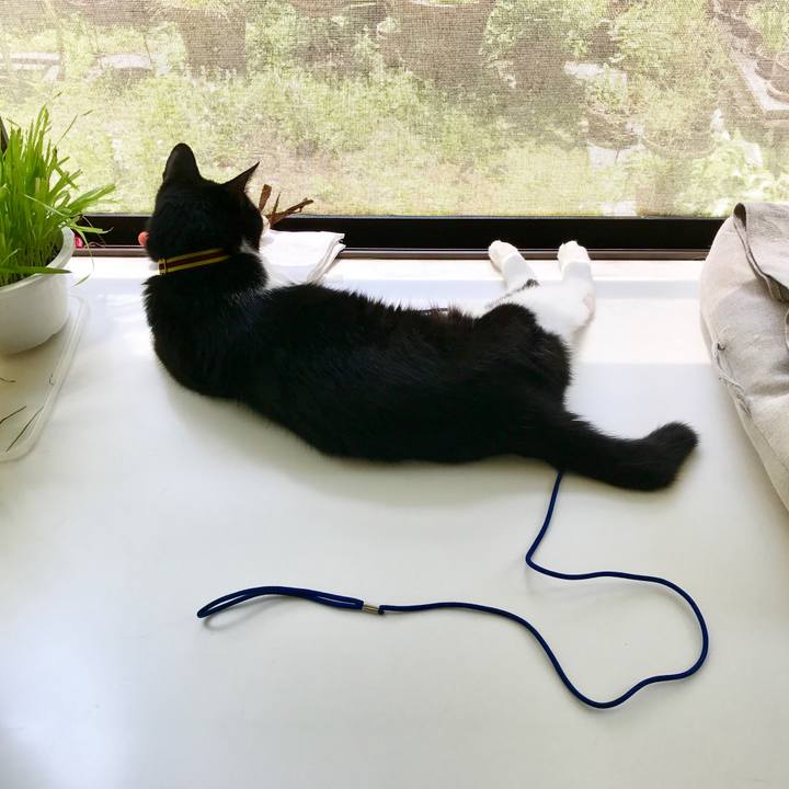 78085809 2d1b 42a2 92a8 091f1d50fab2