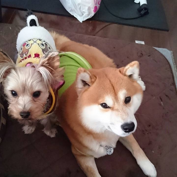 7808bd30 490c 43dc a360 32295f86d3b1