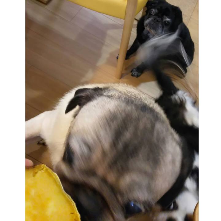 7808e0c9 a595 434a 927e f85e3cc11248