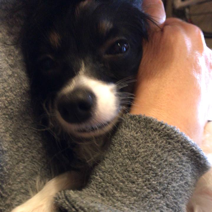 78090678 b0d8 42e9 9075 ee3527369d88