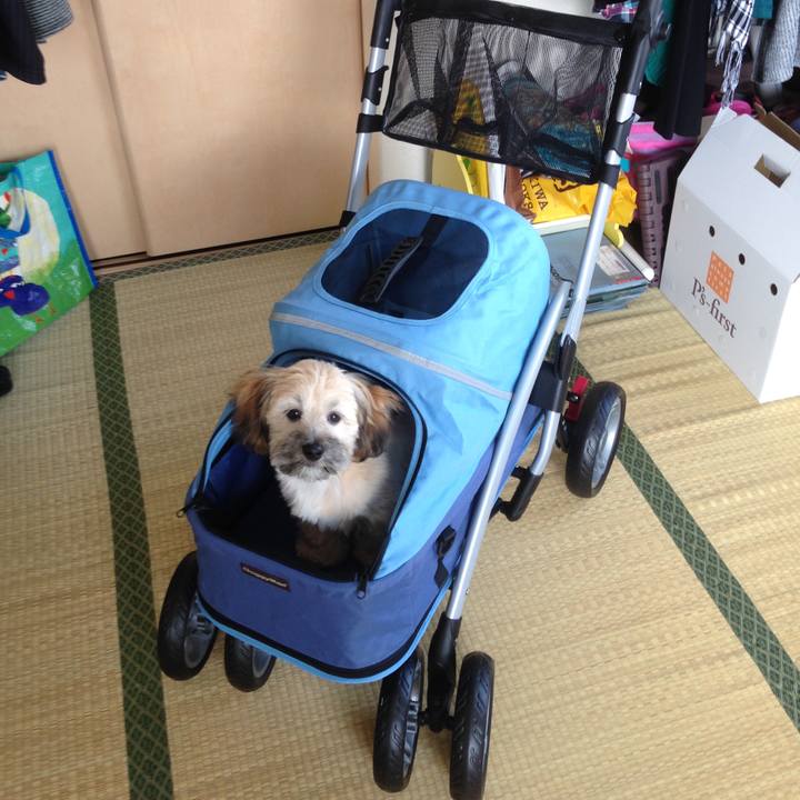 780931be a907 44d9 9093 428dd54b68fd