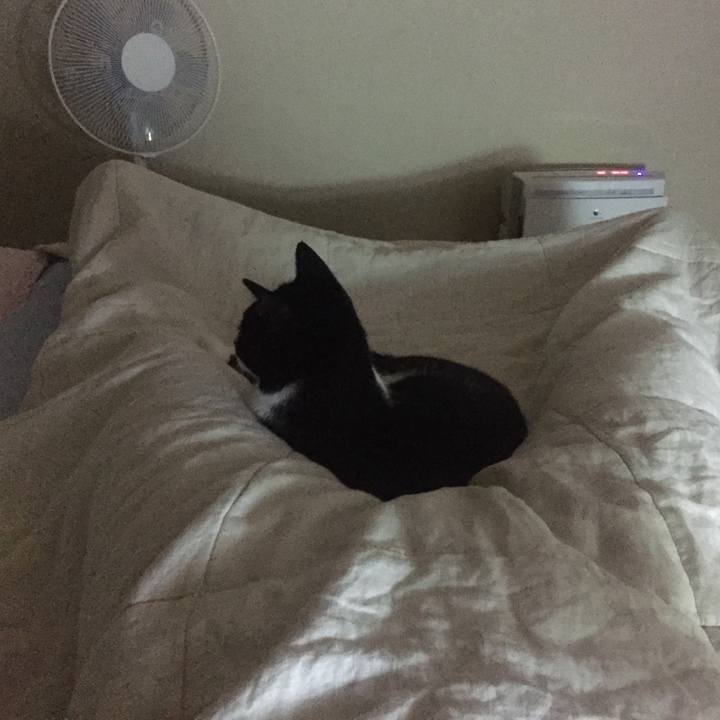 78097234 ca8c 4bd5 9a87 297d5bbe55e3