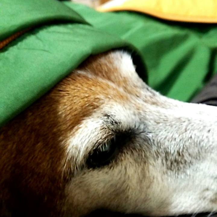 7809818c 4faa 4168 aef7 ef03a0ab1174