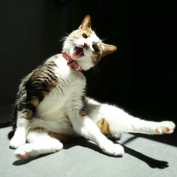 780b450f d6c8 41eb 8c5b 212db5875120