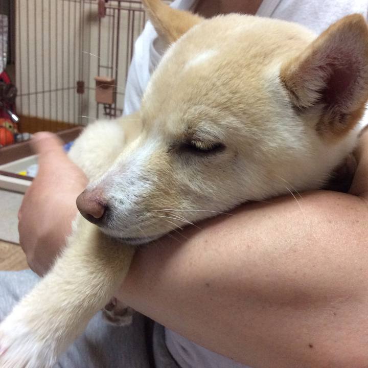 780b4d8f 3e31 41bd 9455 26aaacf46074