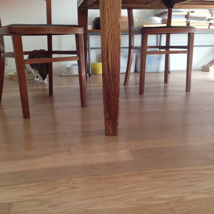 780b8fce 1ff6 4665 9734 9f82901c3b90