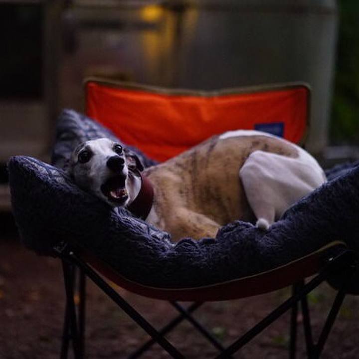 780cb27f 7195 4c43 b011 b226550557ff