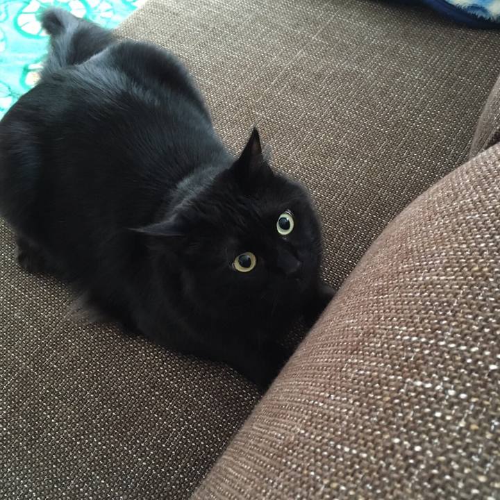 780d23f9 0b0b 4af0 96fc 2d01935e5f2f