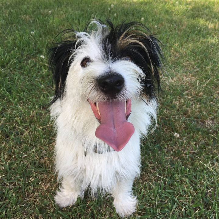 780d3bd4 93c8 4a13 b7e7 87470e95deff