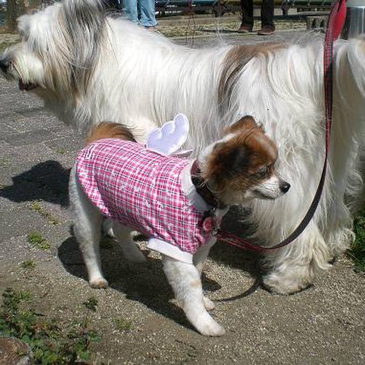 780d86c9 209b 42ed 97bc 131e41842aa5