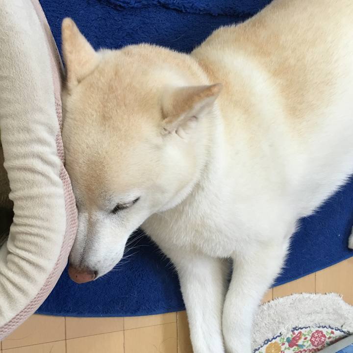 780de7cd 5b96 413e 800a 5004475177ed