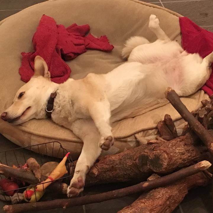 780dfebf a429 4848 8227 99641389cd04