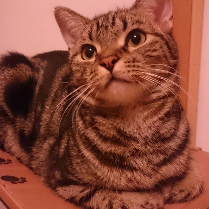 780f5e54 2ebb 4bc8 82b6 f0e8e1aef720