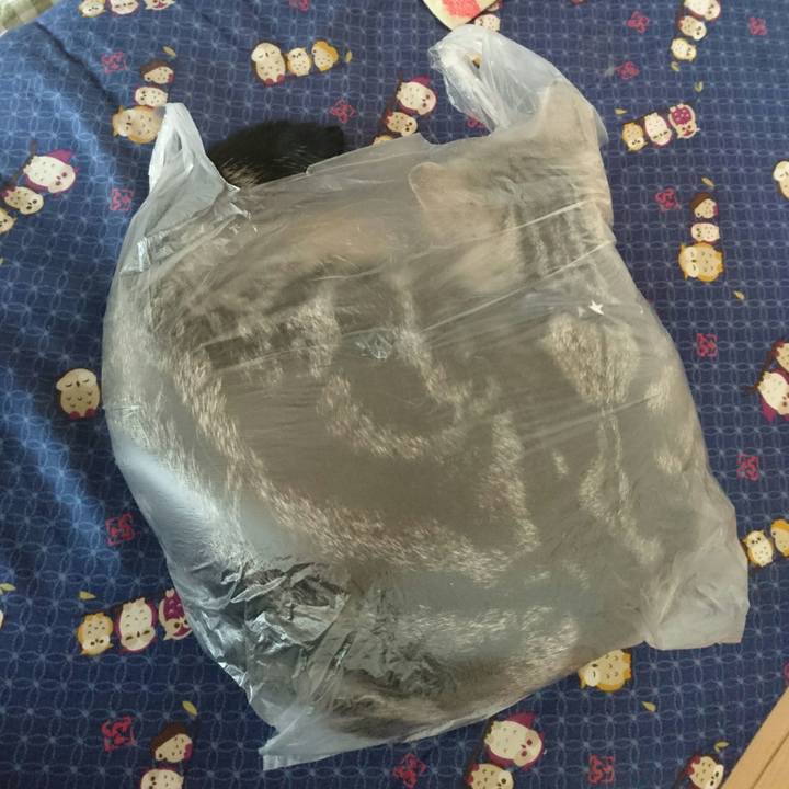 780f68d5 f423 4623 ade0 6062b10a2c8c