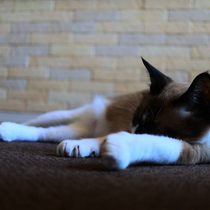 780f6995 952a 4eab 846d 4e25cbb98878