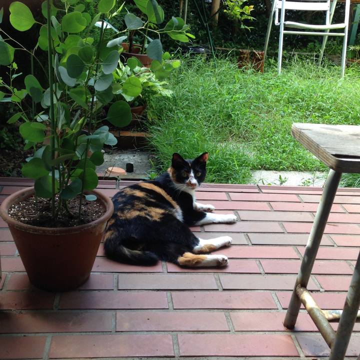 78101dd5 6a46 4a35 9bcd cfdadf9abeeb