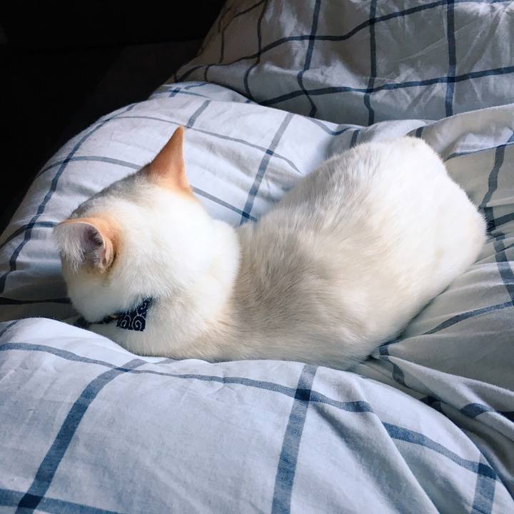 781033e1 8a64 4fa3 9f24 6e1445f53666